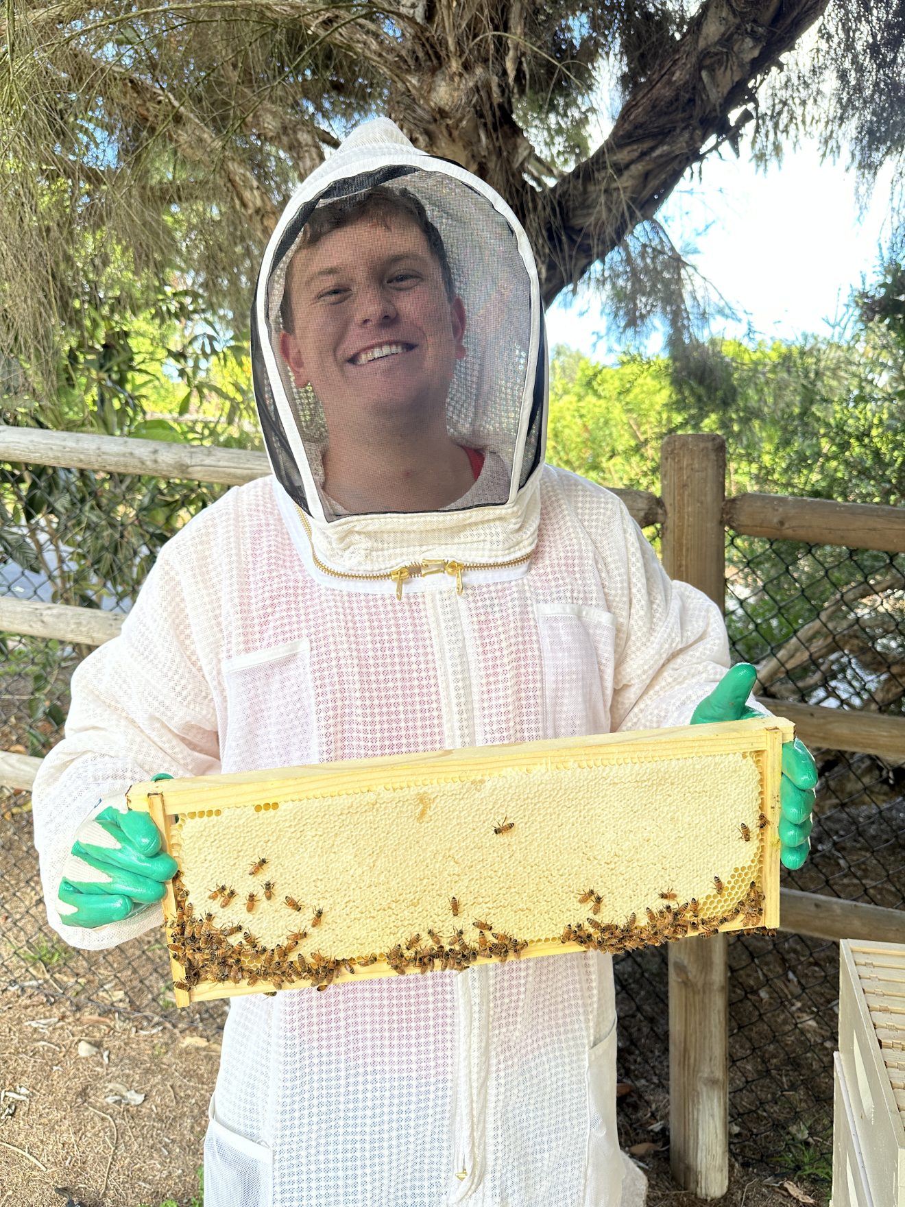 San Diego Bee Sanctuary – 